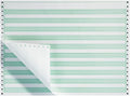 Staples Green Bar Computer Paper, 14 7/8" x 11", 20lb, 2,700/Box, For Office, School & Home